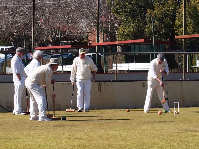 Club page Castlemaine Croquet Club Croquet Victoria